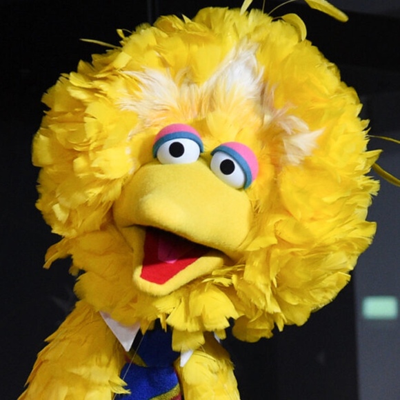bigbirdfan